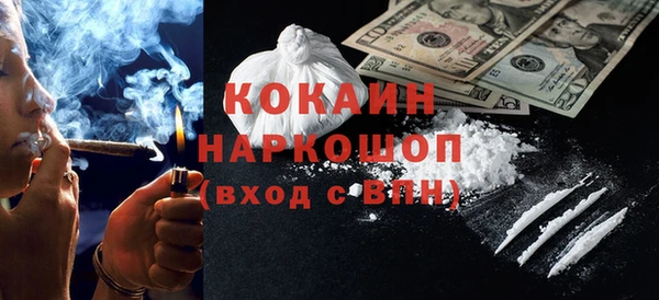 индика Белокуриха