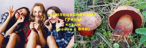 индика Белокуриха