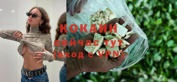 индика Белокуриха