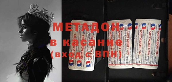 индика Белокуриха