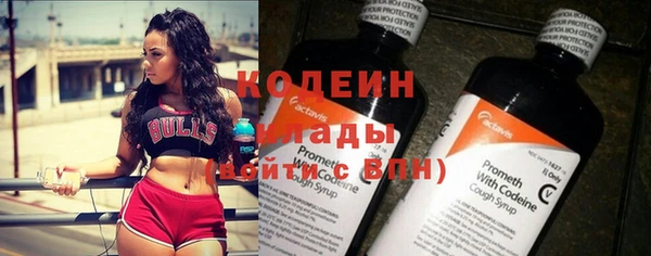 индика Белокуриха
